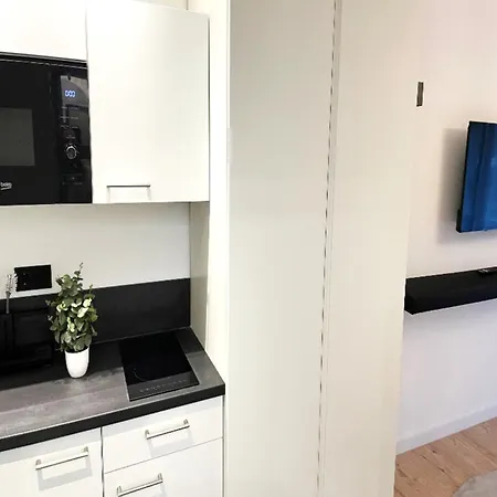 307 Salinenparc Design Budget *