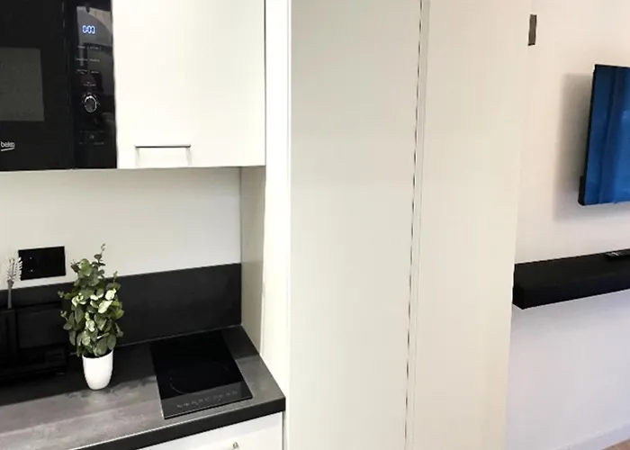 307 Salinenparc Design Budget *
